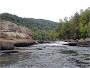 15-Gauley2019-1