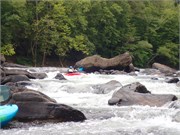 17-Gauley2019-1