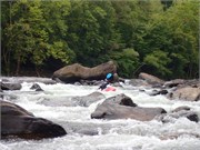 18-Gauley2019-1