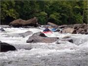 19-Gauley2019-1