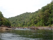 21-Gauley2019-1