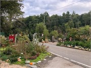 FlowerBridge-1