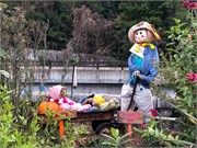 FlowerBridge-8