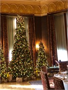 Biltmore-11