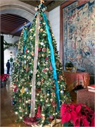 Biltmore-13