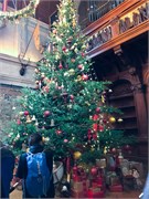 Biltmore-5