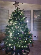 SaltLakeCityDec-006