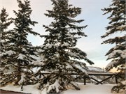 SaltLakeCityDec-019
