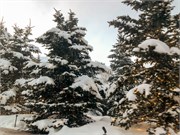 SaltLakeCityDec-020