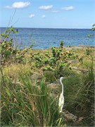 11_Cozumel_2019