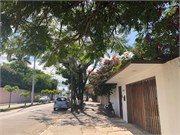 19_Cozumel_2019