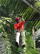 20_Belize_2019