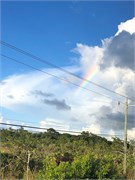 29_Belize_2019