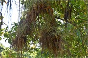 042_Cienfuegos-Cuba_2019