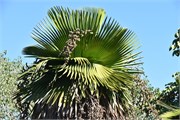 045_Cienfuegos-Cuba_2019