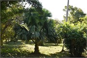052_Cienfuegos-Cuba_2019