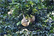 054_Cienfuegos-Cuba_2019