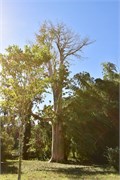 060_Cienfuegos-Cuba_2019