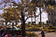 101_Cienfuegos-Cuba_2019