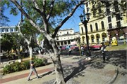 017_Havana_2019