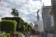 142_Havana_2019