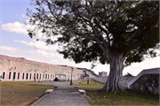 15_Moro-Havana_2019