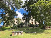 10_Antiga_2019