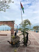 04_KeyWest_2019