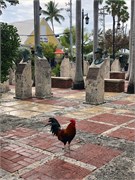 05_KeyWest_2019