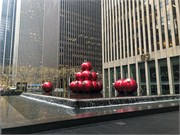 NewYork2019b-005