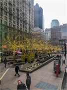 NewYork2019b-028
