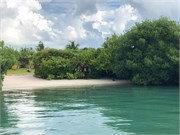 03_HarvestCaye_2019