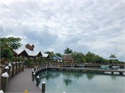 07_HarvestCaye_2019