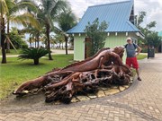 10_HarvestCaye_2019