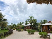 19_HarvestCaye_2019