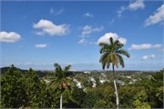 131_Havana-Feb_2019