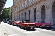 181_Havana-Feb_2019