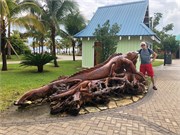 30_10_HarvestCaye_2019