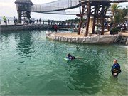 33_06_Dolphins_2019