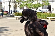 26_159_Cienfuegos-Cuba_2019