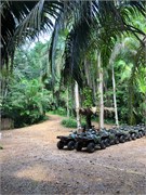 002_28_Belize_2019