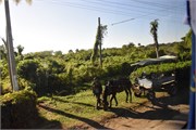 008_025_Cienfuegos-Cuba_2019