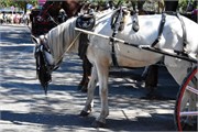 064_075_Havana_2019