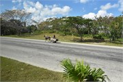 154_150_Havana-Feb_2019