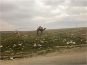 001-Timgad2Constantine