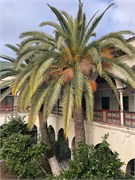 027-Bei_Palace