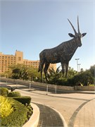 036-Doha_Qatar