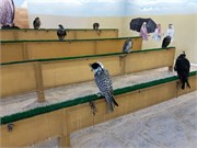 083-Doha_Qatar