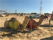 010-Desert_Qatar