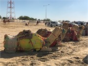 015-Desert_Qatar